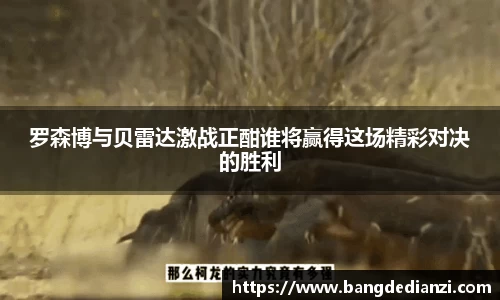 金年会体育