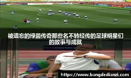 被遗忘的绿茵传奇那些名不转经传的足球明星们的故事与成就
