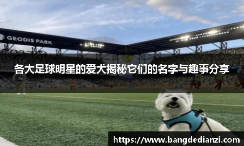 各大足球明星的爱犬揭秘它们的名字与趣事分享